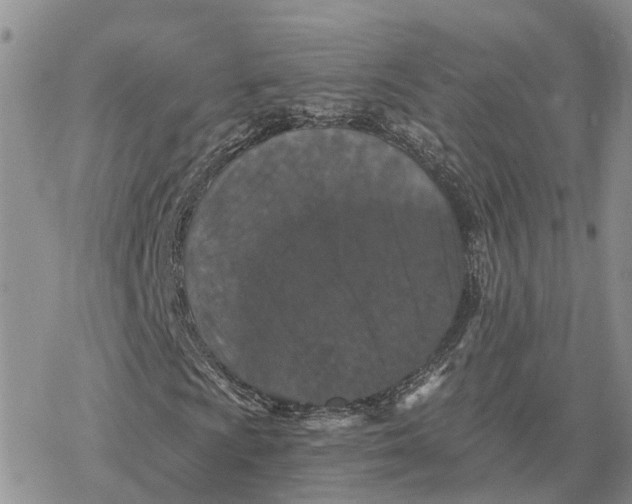 X0000078281009200611251413