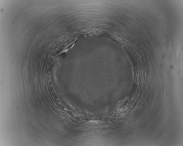 X0000078281010200611251413