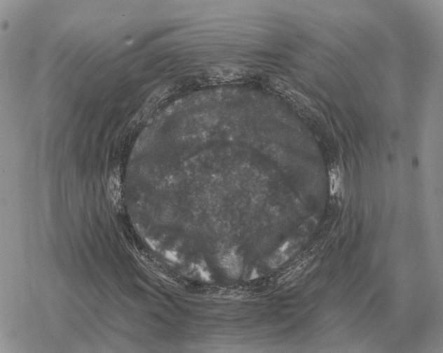 X0000078281011200611251413