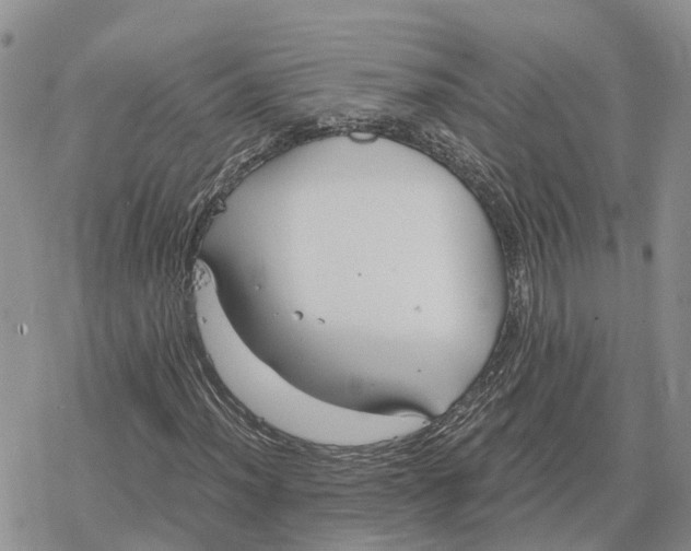 X0000078281012200611251413