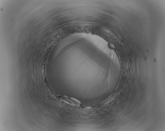 X0000078281013200611251413