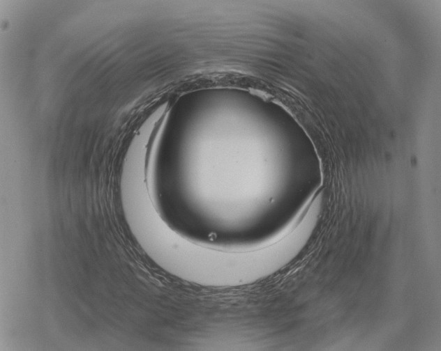 X0000078281014200611251413