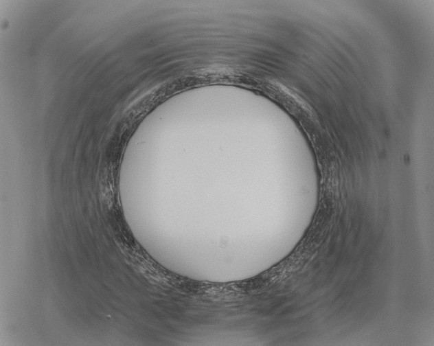 X0000078281015200611251413