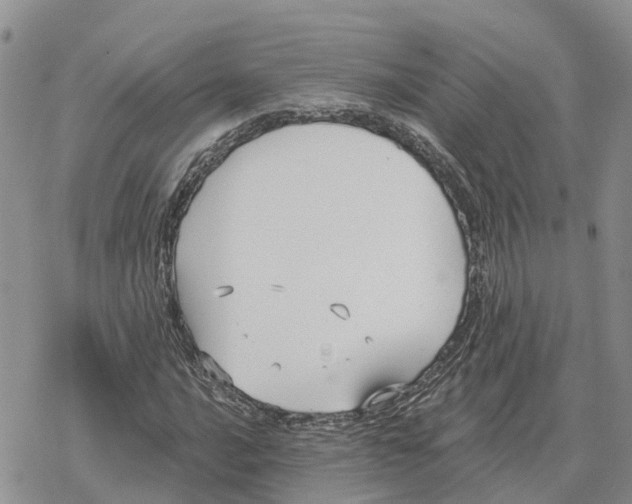 X0000078281016200611251413