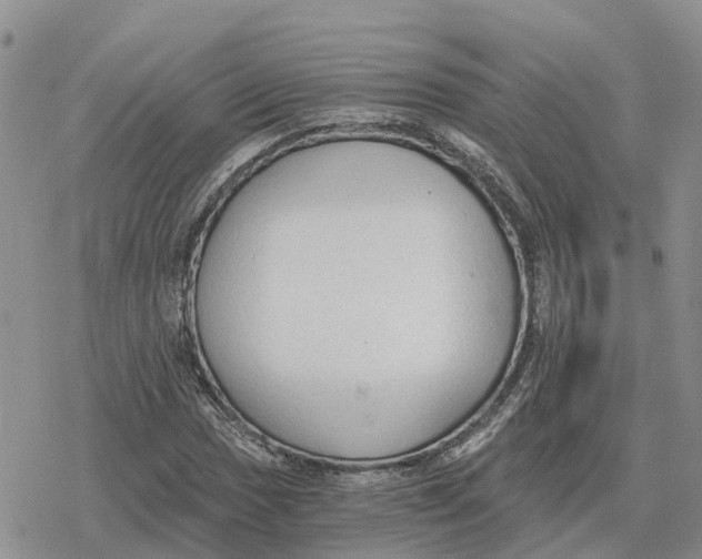 X0000078281017200611251413