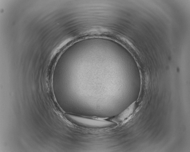 X0000078281018200611251413