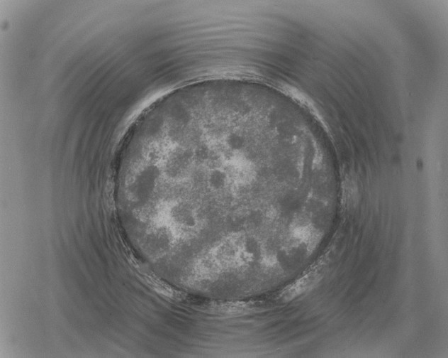 X0000078281019200611251413