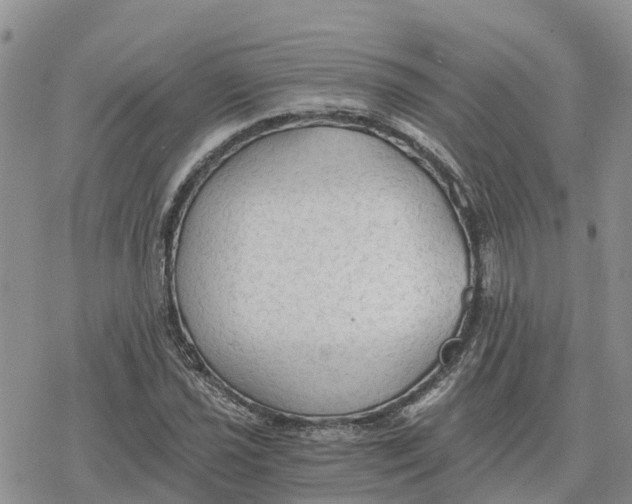 X0000078281021200611251413