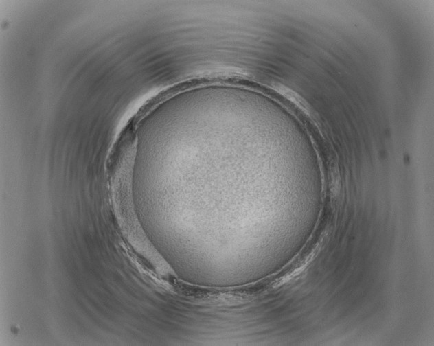 X0000078281022200611251413