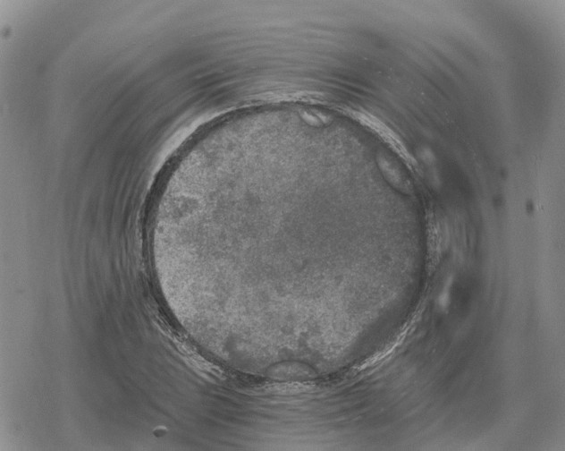 X0000078281023200611251413