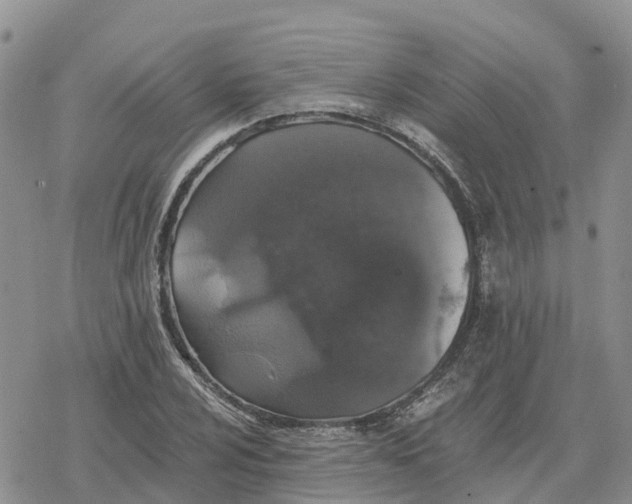 X0000078281024200611251413