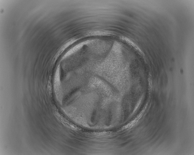 X0000078281025200611251413