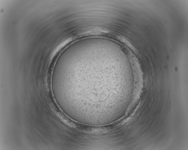 X0000078281026200611251413