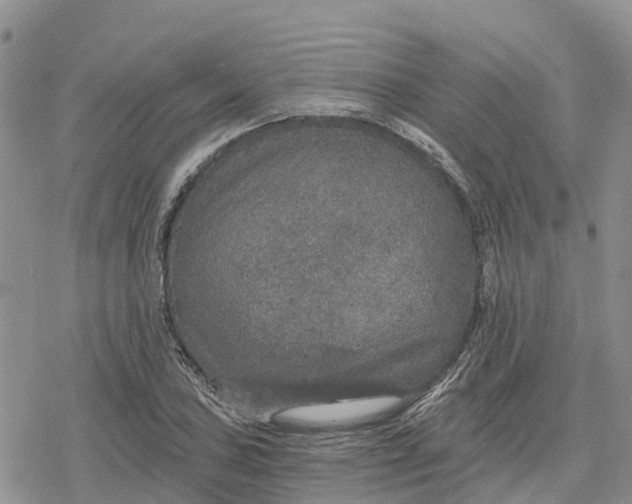 X0000078281027200611251413