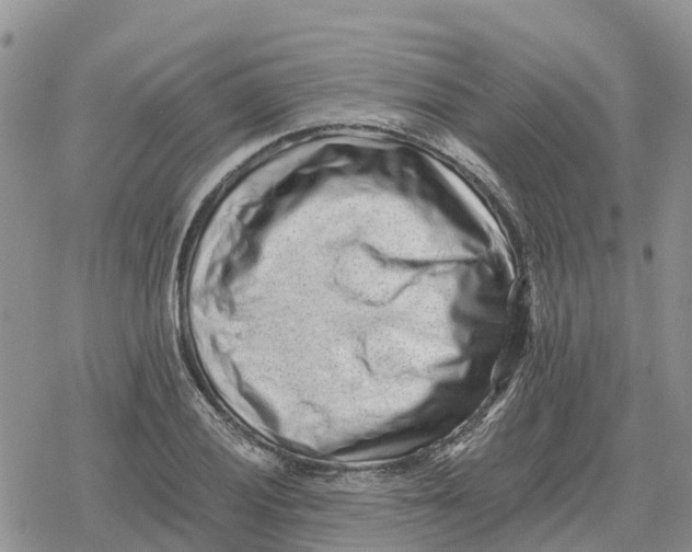 X0000078281028200611251413