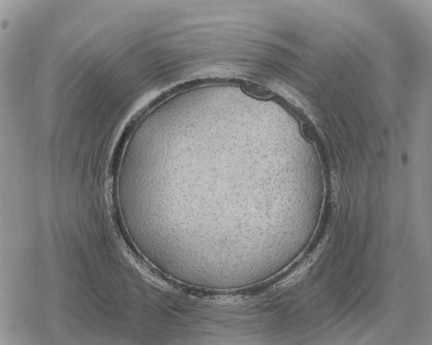 X0000078281029200611251413