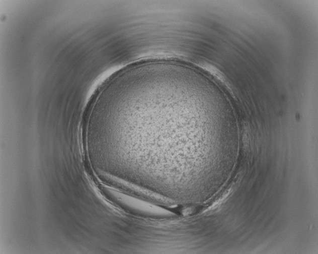 X0000078281030200611251413