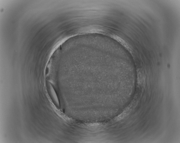 X0000078281031200611251413