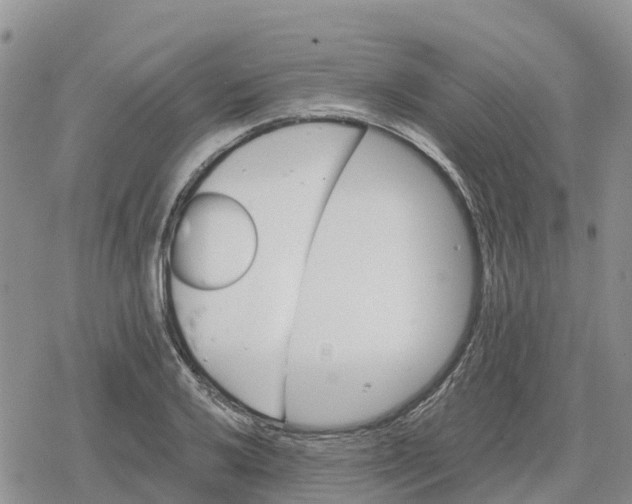 X0000078281032200611251413