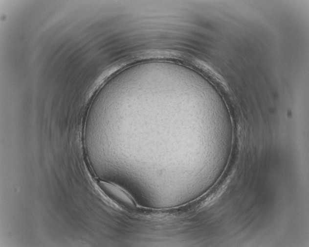 X0000078281033200611251413