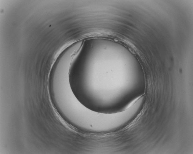 X0000078281034200611251413