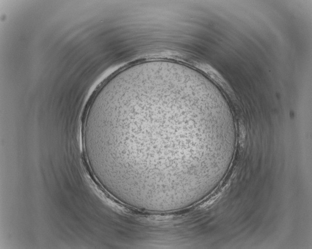 X0000078281036200611251413