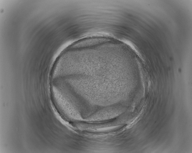 X0000078281038200611251413