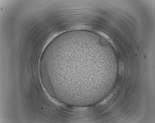 X0000078281039200611251413