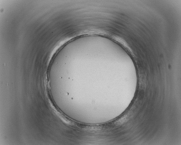 X0000078281040200611251413