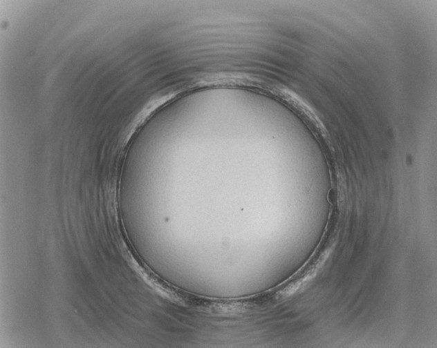 X0000078281041200611251413