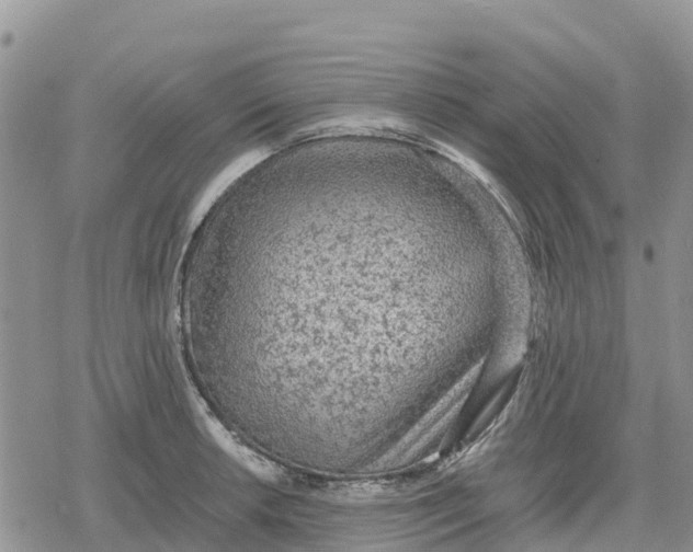 X0000078281042200611251413