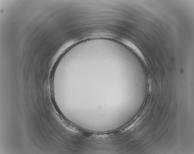 X0000078281043200611251413