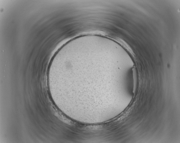 X0000078281044200611251413