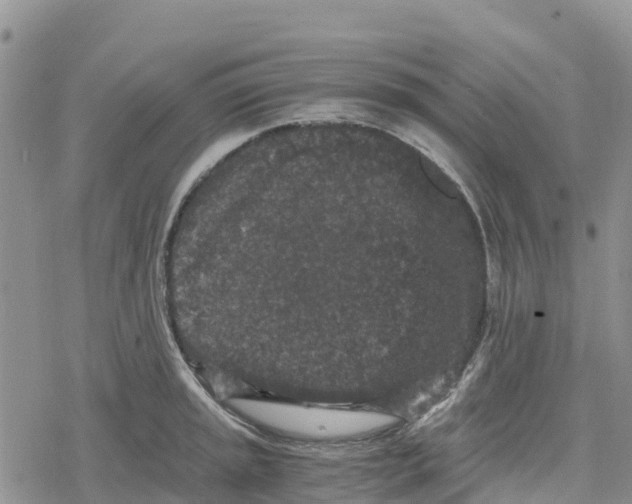 X0000078281045200611251413