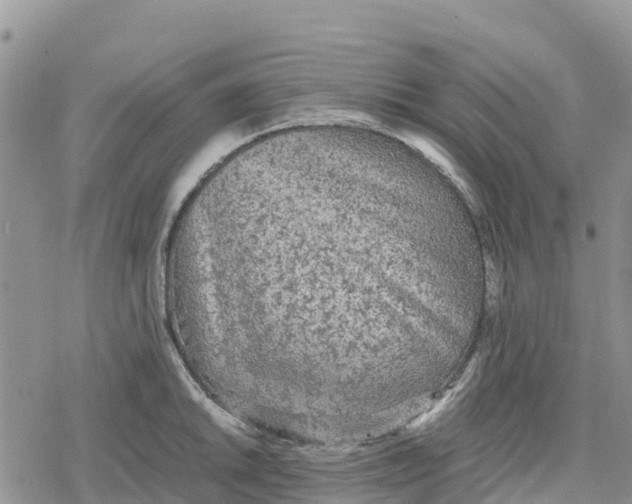 X0000078281046200611251413