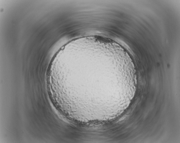 X0000078281047200611251413