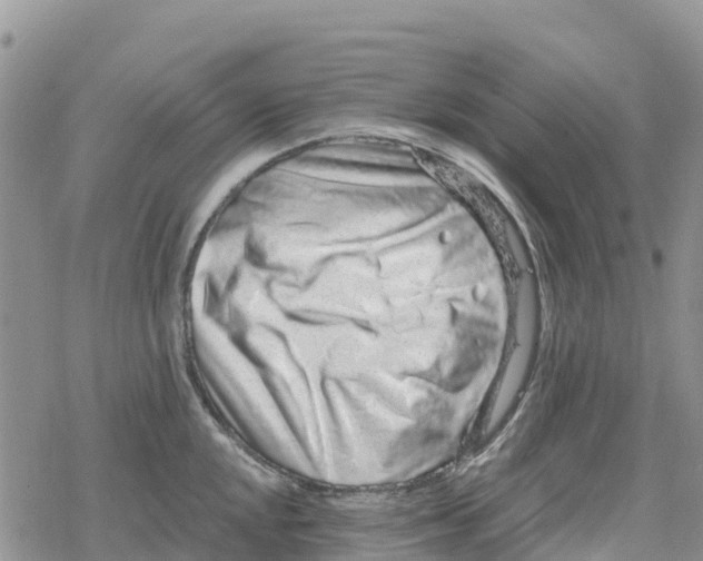 X0000078281048200611251413