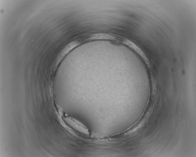 X0000078281049200611251413