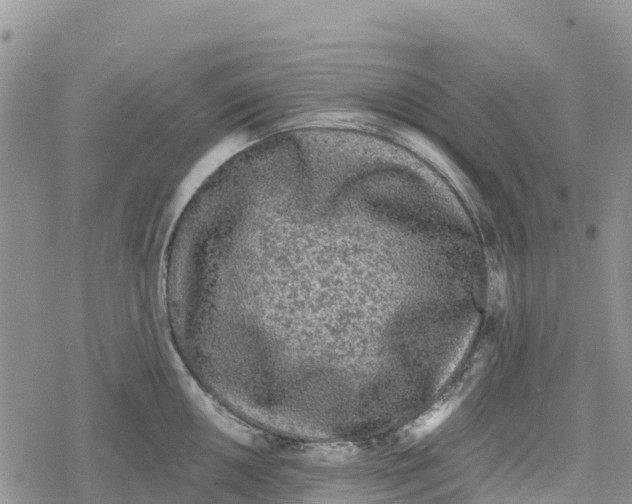 X0000078281050200611251413