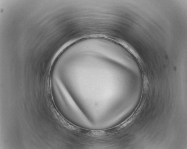 X0000078281052200611251413