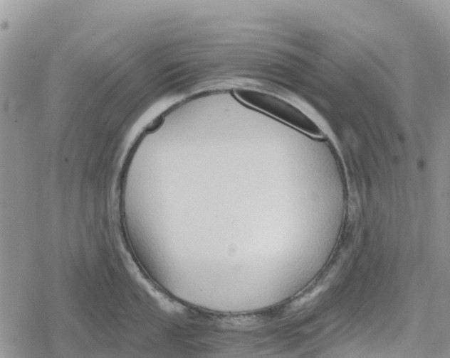 X0000078281053200611251413