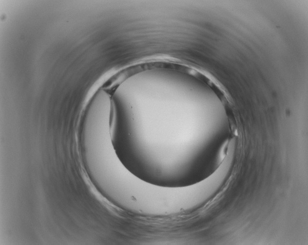 X0000078281054200611251413