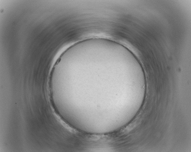 X0000078281056200611251413