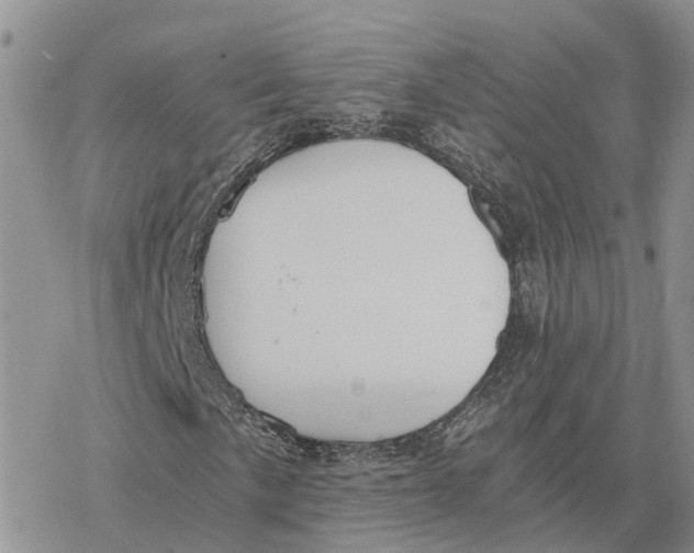 X0000078281057200611251413