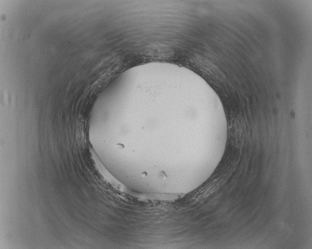 X0000078281058200611251413