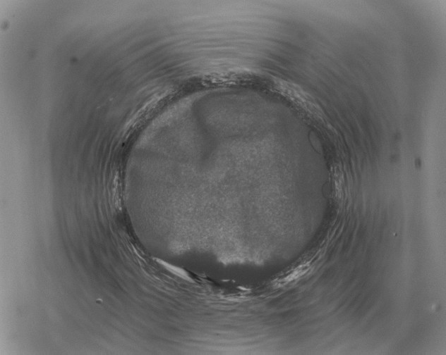 X0000078281060200611251412