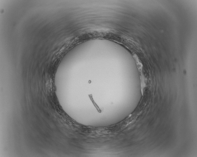 X0000078281061200611251412