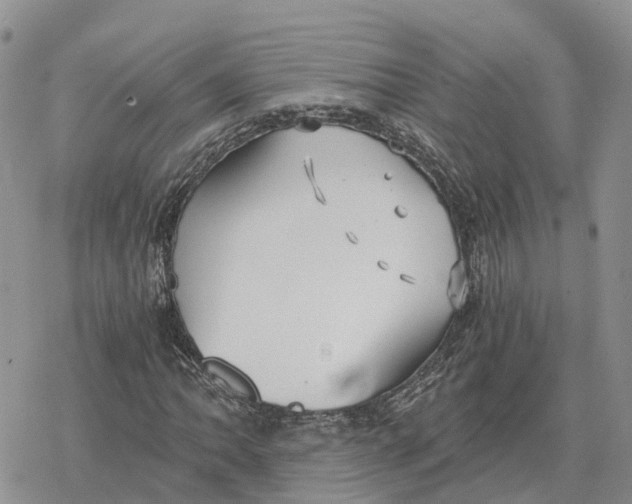 X0000078281062200611251412