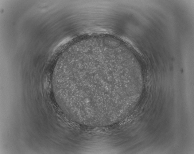 X0000078281063200611251412