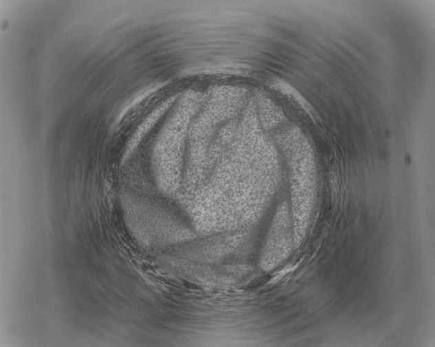 X0000078281064200611251412